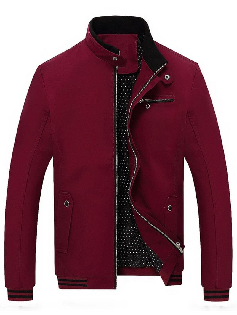 Randig Casual Zip Up Jacka Herr
